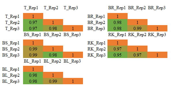 Figure 5. Pearson Correlation Coefficients for Protein Quantification across Different Sample Types. T: 293T cells; BL: Rape Leaves; BR: Rape Roots; BS: Rape Stems; RK: Rat Kidneys Figure 5. Pearson Correlation Coefficients for Protein Quantification across Different Sample Types. T: 293T cells; BL: Rape Leaves; BR: Rape Roots; BS: Rape Stems; RK: Rat Kidneys